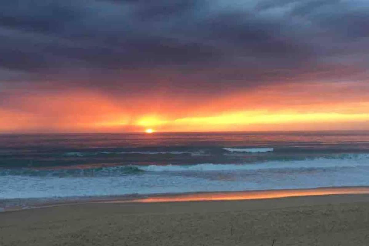La Graviere, Cozy Studio Wifi & Parking 20M Ocean Surf Plage Soorts-Hossegor Exteriér fotografie